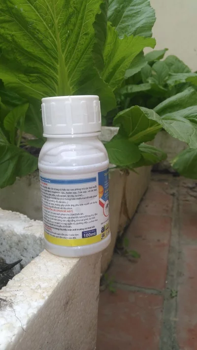 Thuốc diệt muỗi côn trùng Per + - Ảnh 2
