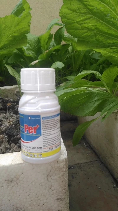 Thuốc diệt muỗi côn trùng Per + - Ảnh 3